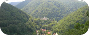 category-image
